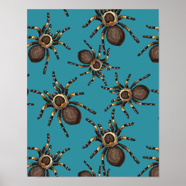 Tarantula auf blau poster (Vorne)