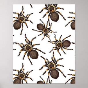 Tarantula auf weiß poster