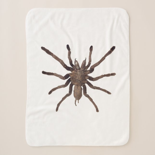 Tarantula Blanket Sherpadecke (Vorderseite)