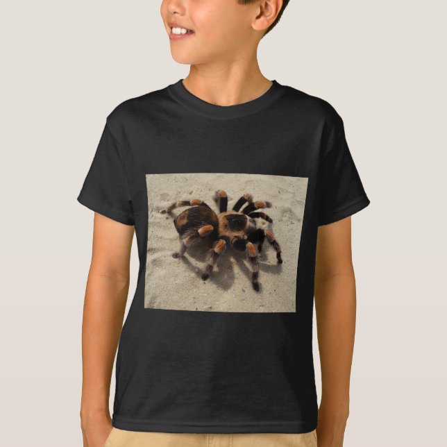 Tarantula brachypelma rotes Knie giftig T-Shirt (Vorderseite)