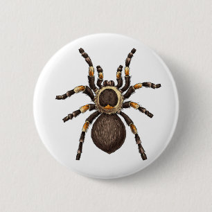 Tarantula Button