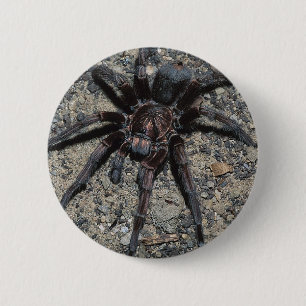 Tarantula Button
