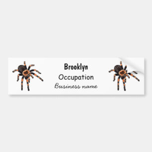 Tarantula-Cartoon Autoaufkleber