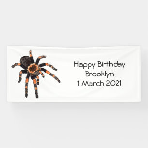 Tarantula-Cartoon Banner