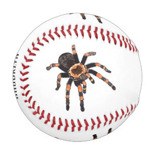 Tarantula-Cartoon Baseball