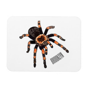 Tarantula-Cartoon Magnet
