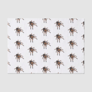 Tarantula-Cartoon Seidenpapier