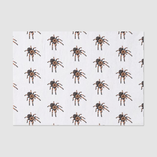 Tarantula-Cartoon Seidenpapier (Vorderseite)