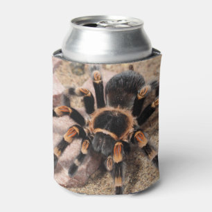 Tarantula Dosenkühler