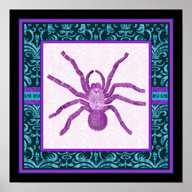 Tarantula - Elegantes Aquamarin & Fuschia Damask G Poster (Vorne)