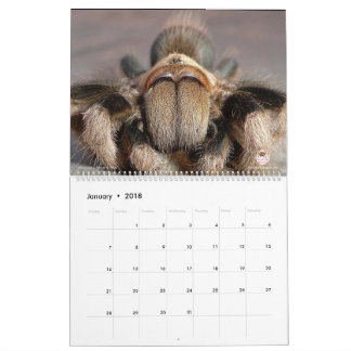 Tarantula-Kalender für 2018 Kalender