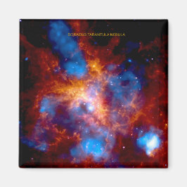 Tarantula Nebula Magnet