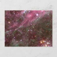 Tarantula Nebula Postcard
