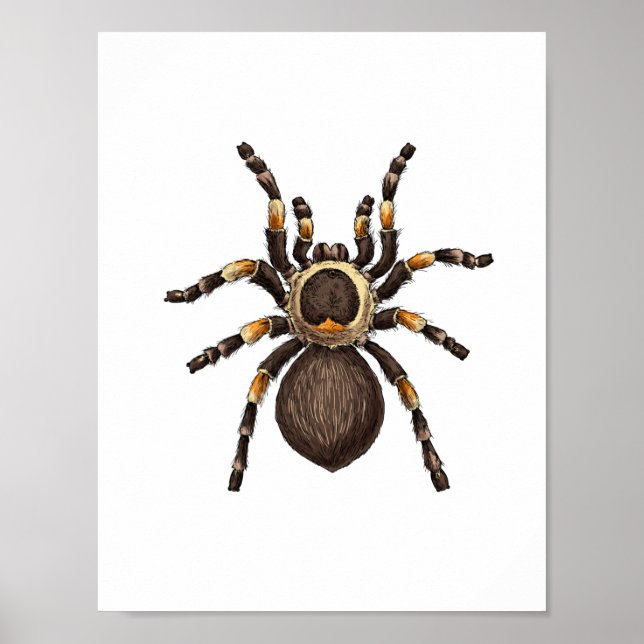 Tarantula Poster (Vorne)
