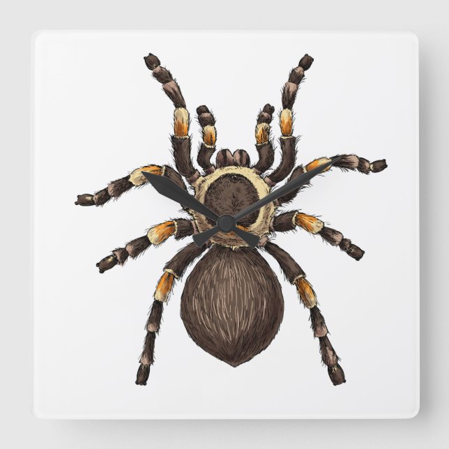 Tarantula Quadratische Wanduhr (Vorderseite)