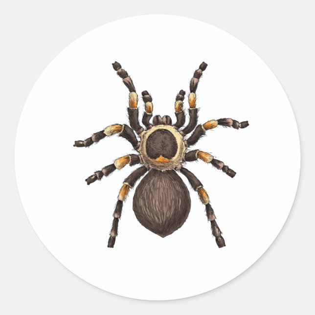 Tarantula Runder Aufkleber (Vorderseite)