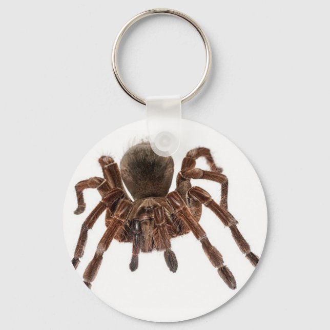 TARANTULA SCHLÜSSELANHÄNGER (Vorderseite)