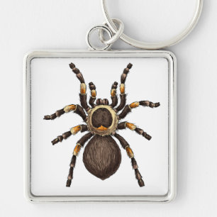 Tarantula Schlüsselanhänger