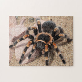 Tarantula Spider Puzzle