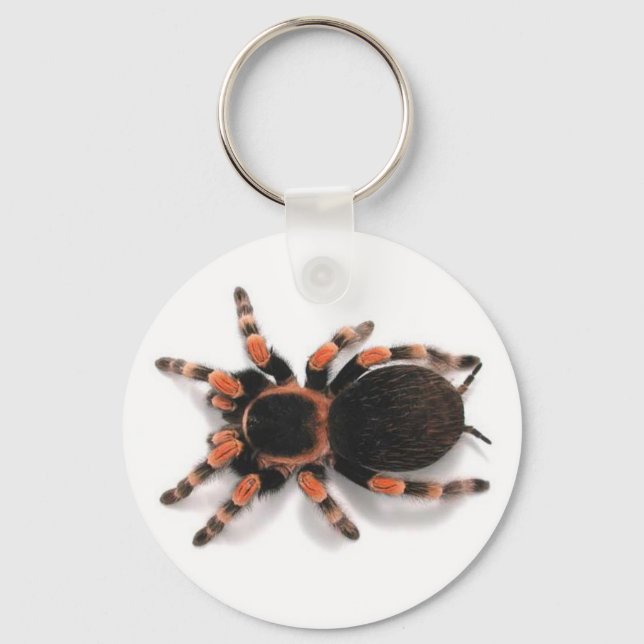 TARANTULA SPIDER SCHLÜSSELANHÄNGER KEYRING (Vorderseite)