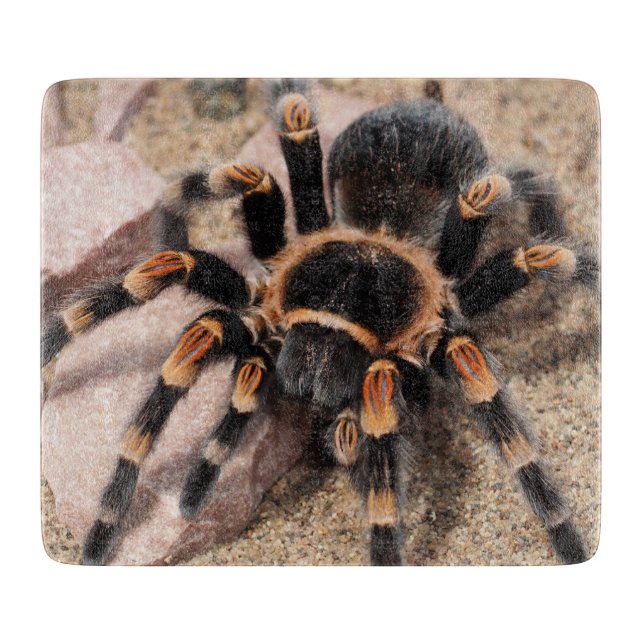 Tarantula Spider Schneidebrett (Vorderseite)