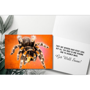 Tarantula Spider wird gut Karte