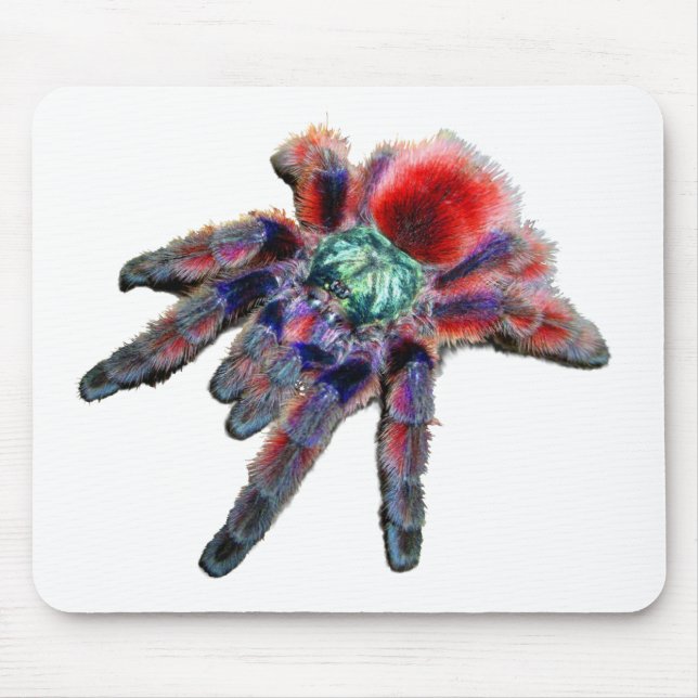Tarantula-Spinne, arachnid, große blau-rote Spinne Mousepad (Vorne)