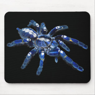 Tarantula-Spinne, arachnid, große blaue Spinne/sch Mousepad