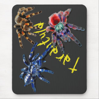 Tarantula-Spinne, blaue Spinne, rote Spinne, Spinn Mousepad