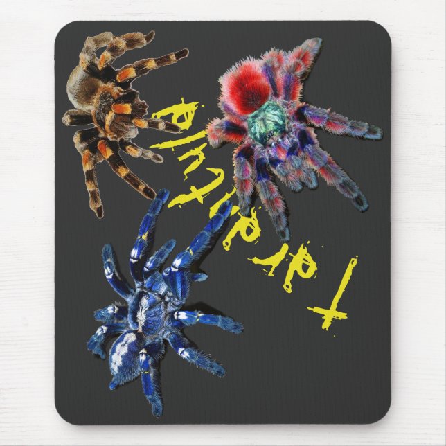 Tarantula-Spinne, blaue Spinne, rote Spinne, Spinn Mousepad (Vorne)