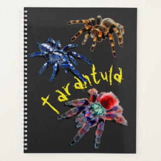 Tarantula-Spinne, blaue Spinne, rote Spinne, Spinn Planer