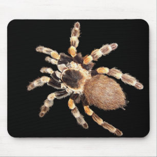 Tarantula-Spinne Mousepad