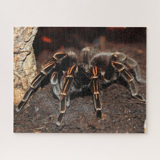 Tarantula-Spinne Puzzle (Horizontal)