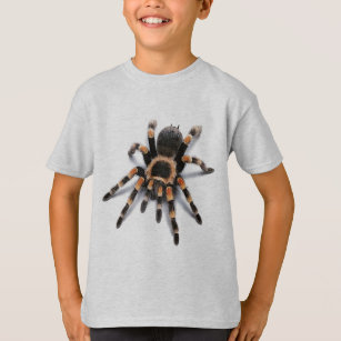 TARANTULA-SPINNE T-Shirt