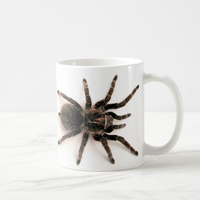 Tarantula-Spinnen-Tasse Tasse (Rechts)