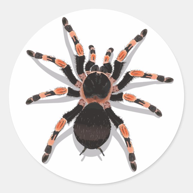 Tarantula Sticker (Vorderseite)