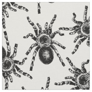 Tarantula Stoff