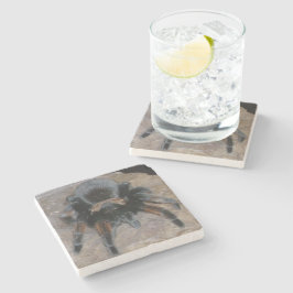 Tarantula Stone Untersetzer