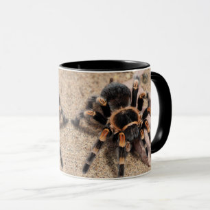 Tarantula Tasse