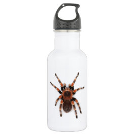 Tarantula Trinkflasche