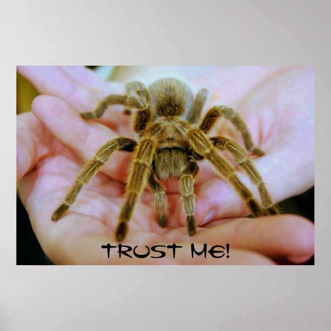 Tarantula, vertraue mir! poster (Vorne)