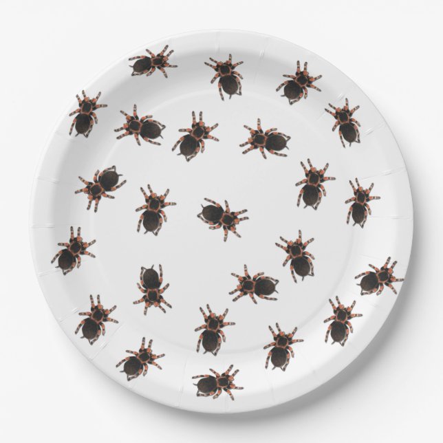 Tarantulas anpassen pappteller (Vorderseite)