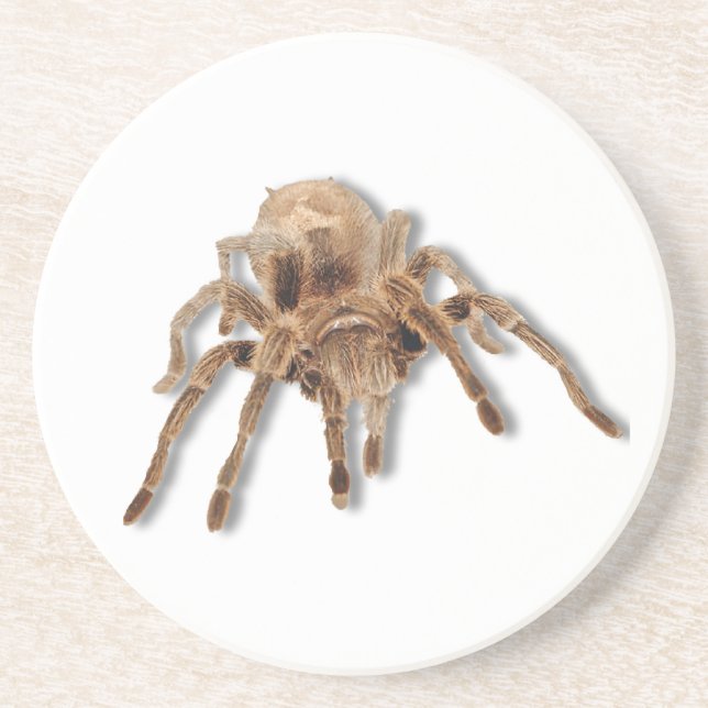 Tarantulaspinne Getränkeuntersetzer (Vorne)