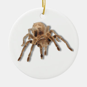 Tarantulaspinne Keramikornament