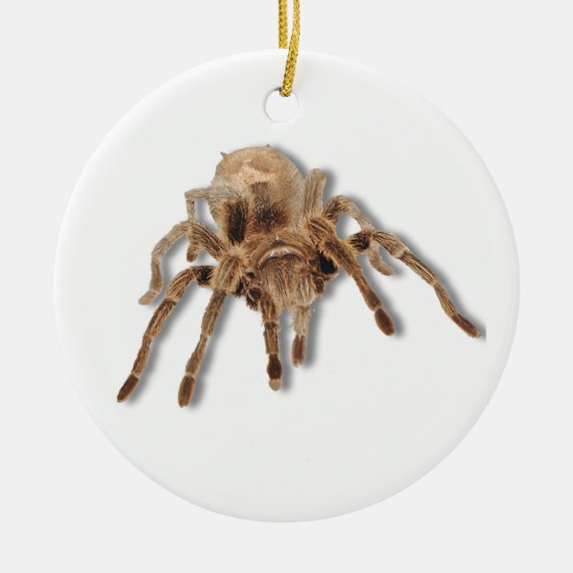 Tarantulaspinne Keramikornament (Vorne)