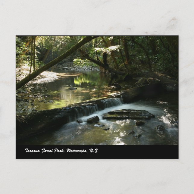 Tararua Forest Park, Wairarapa, N.Z. Postkarte (Vorderseite)