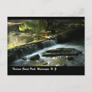 Tararua Forest Park, Wairarapa, N. Z Postkarte
