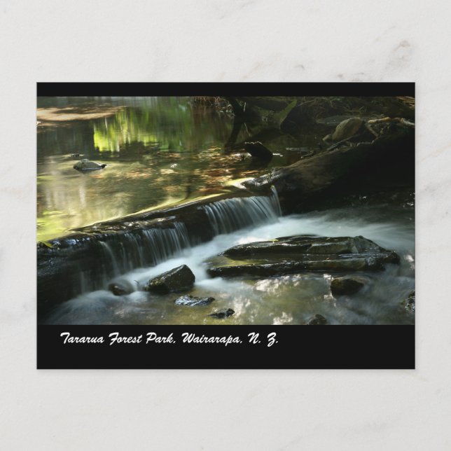 Tararua Forest Park, Wairarapa, N. Z Postkarte (Vorderseite)