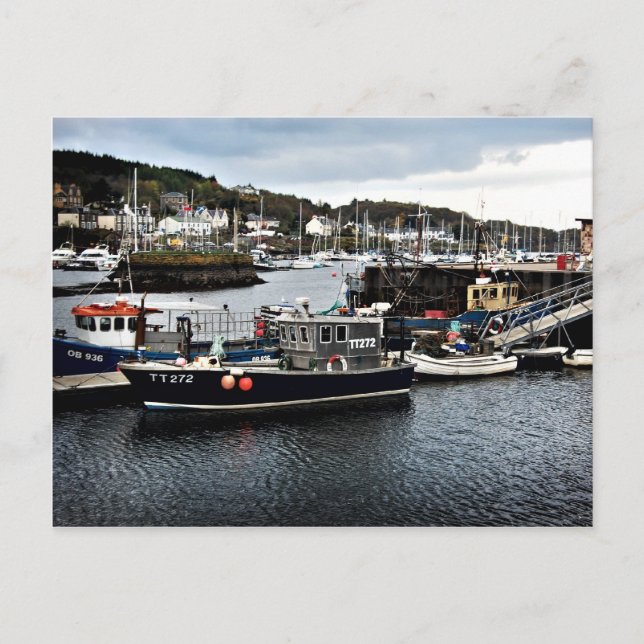 Tarbert Harbor Postcard Postkarte (Vorderseite)