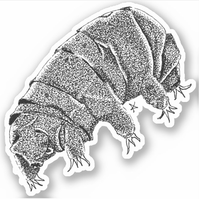 Tardigrade Aufkleber (Vorderseite)